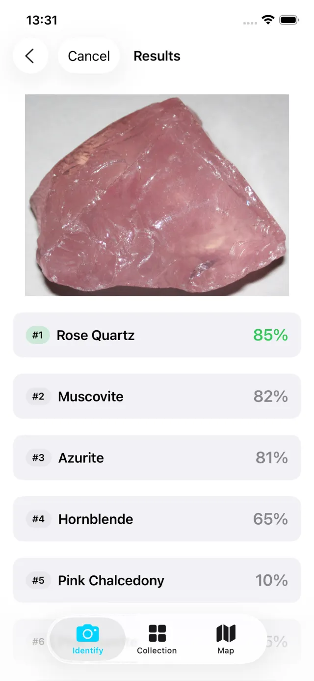 AI rock identification results showing top 5 matches with confidence percentages